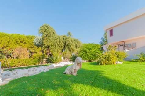 Paradise Beb Giovinazzo Eksteriør billede